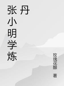 张小明学炼丹